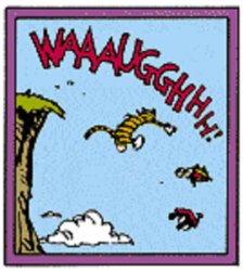 Calvin and Hobbes crashing wagon Meme Template