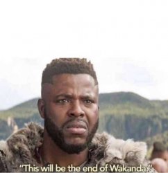 End of Wakanda Meme Template