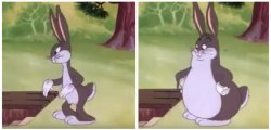 BIG CHUNGUS Meme Template