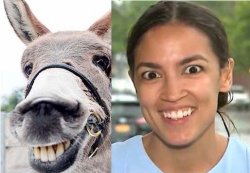 Jackass Cortez Meme Template