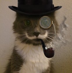 cat with monocle, pipe, top hat Meme Template
