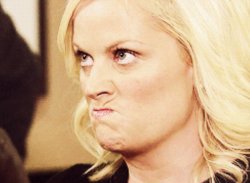 Amy Poehler Meme Template