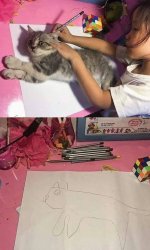 Cat Drawing Meme Template