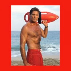The Hoff Meme Template