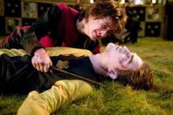 Death of Cedric Diggory Meme Template