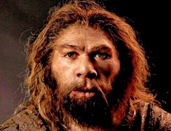 homosapien Meme Template