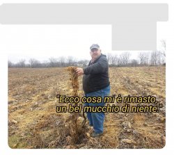 Contadino Meme Template