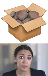 AOC_dumb_rocks Meme Template