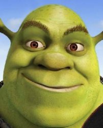 Shrek face Meme Template