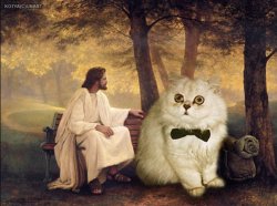 Jesus cat Meme Template