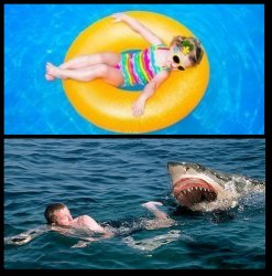 Easy vs shark Meme Template