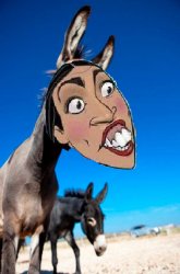 AOC Meme Template