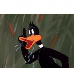 Daffy Duck TN Meme Template