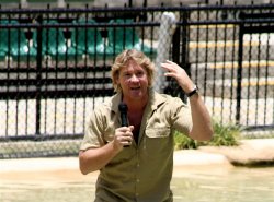 Steve Irwin Speech Meme Template