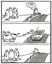 Far Side Cows Car Meme Template