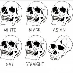 Skull Comparison Meme Template