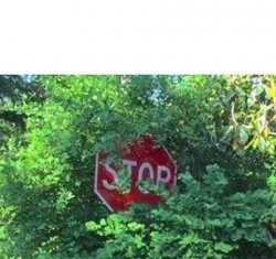Stop Sign hiding in the bushes Meme Template