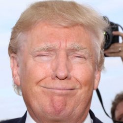 Trump punchface Meme Template