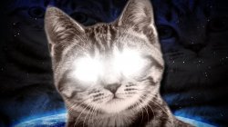 Psychic Cat Meme Template