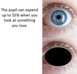 Pupil Meme Template