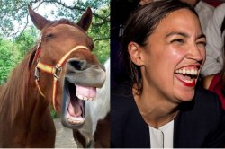 AOC horse face Alexandria Ocasio-Cortez Meme Template