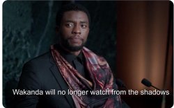 Black panther wakanda will no longer watch from the shadows Meme Template