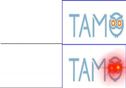 Tamo bird sleep and awake Meme Template