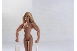 Female Transgender Ken Doll Meme Template