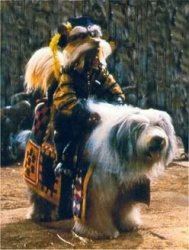 Sir Didymus and Ambrosius The Labyrinth Meme Template