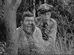 Andy griffith yelling Meme Template