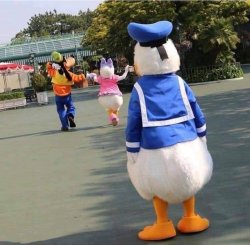 Goofy stealing Daisy from Donald Meme Template