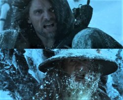 Aragorn Gandalf blizzard Meme Template