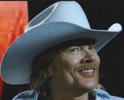 Axl Rose Like Meme Template