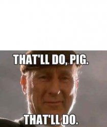 That'll do, pig. That'll do. Meme Template