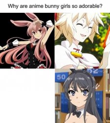 Why are bunny girls so adorable? Meme Template