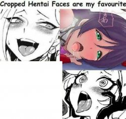 Cropped Hentai Faces are my favourite Meme Template