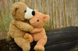 condolance caring consolation teddy bears Meme Template