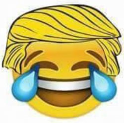 Trump emoji Meme Template