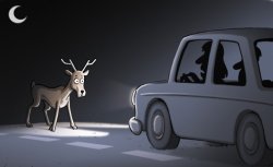 Deer In The Headlights Meme Template