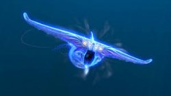 subnautica ghost leviathan Meme Template