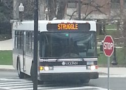 Struggle Bus Meme Template