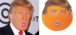 the orange Meme Template