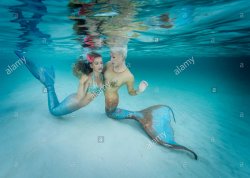 two mermaids Meme Template
