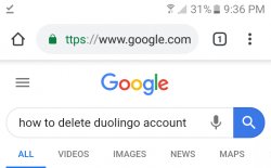 How to delete duolingo Meme Template