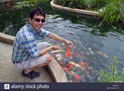 man feeding koi fish Meme Template