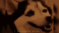 happiness noise Meme Template