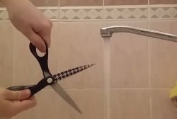 Scissors water Meme Template