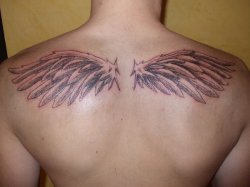 Wing back tattoo Meme Template