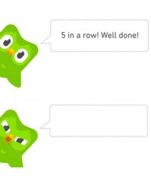 Duolingo 5 in a row Meme Template
