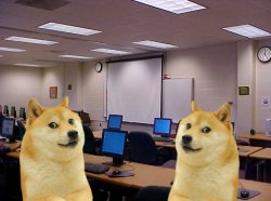 Doges in middle school computer lab Meme Template